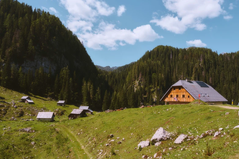 the mountains are covered with green grass