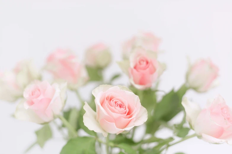 a bouquet of pink and white roses in a vase