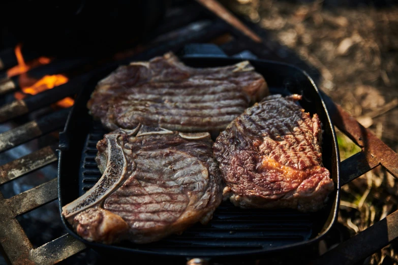 two steaks sit on top of a grill on a plate