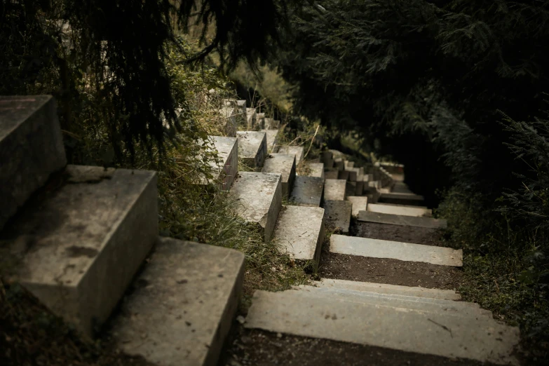 an upturned set of steps leading into the woods