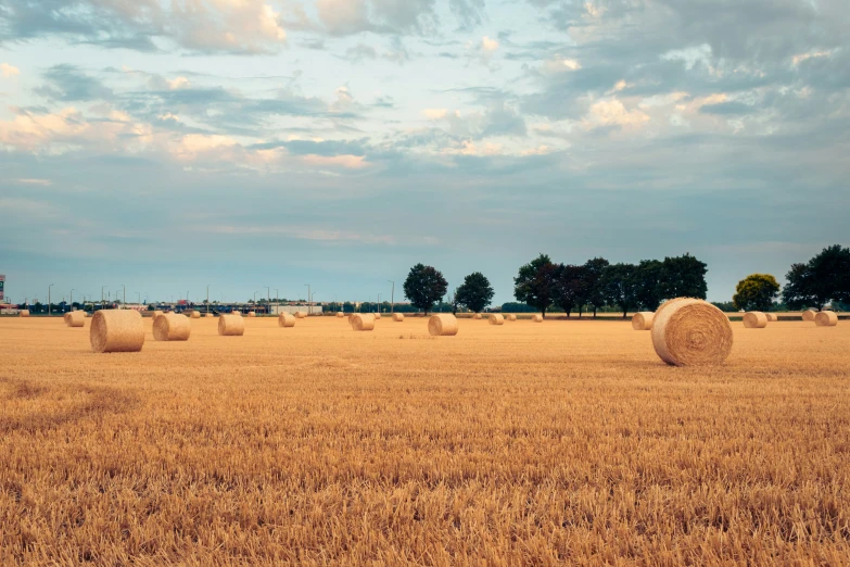 a field of wheat, bales on a cloudy day