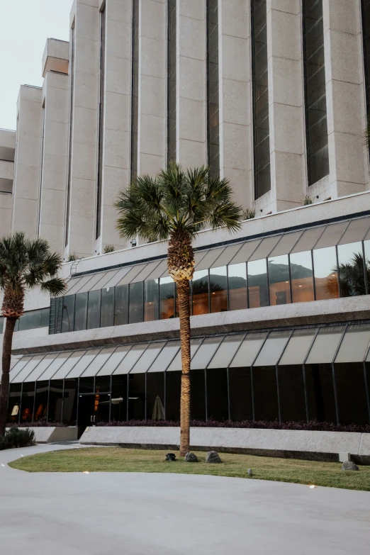 a building with many windows and palm trees in front of it