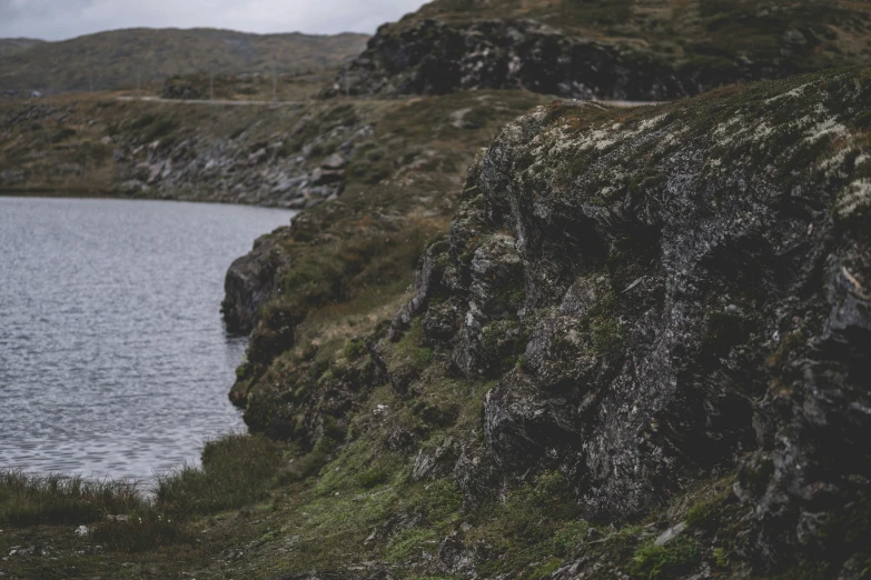 there is a bear that is walking along the mountain side