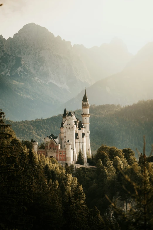 the castle looks like it is built into a mountain side