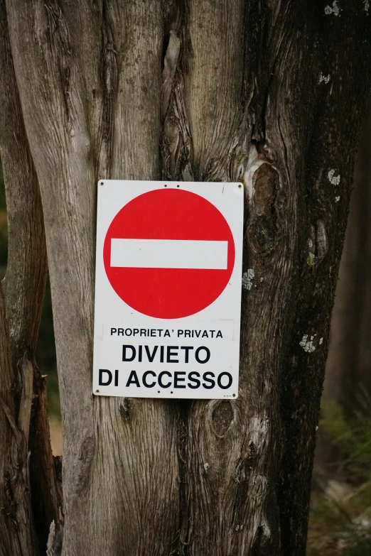 a no entry sign on the tree trunks