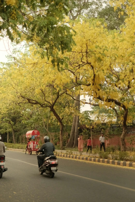 people riding on motorcycles on the street under trees