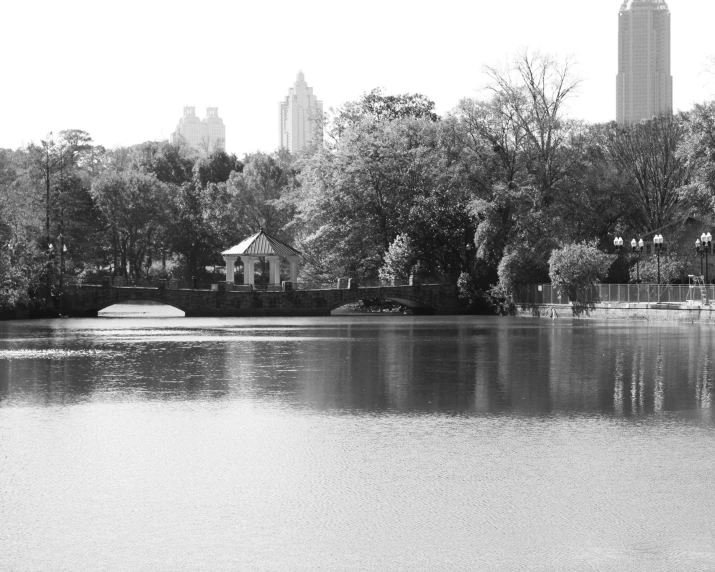 a large body of water sitting next to a lush green forest