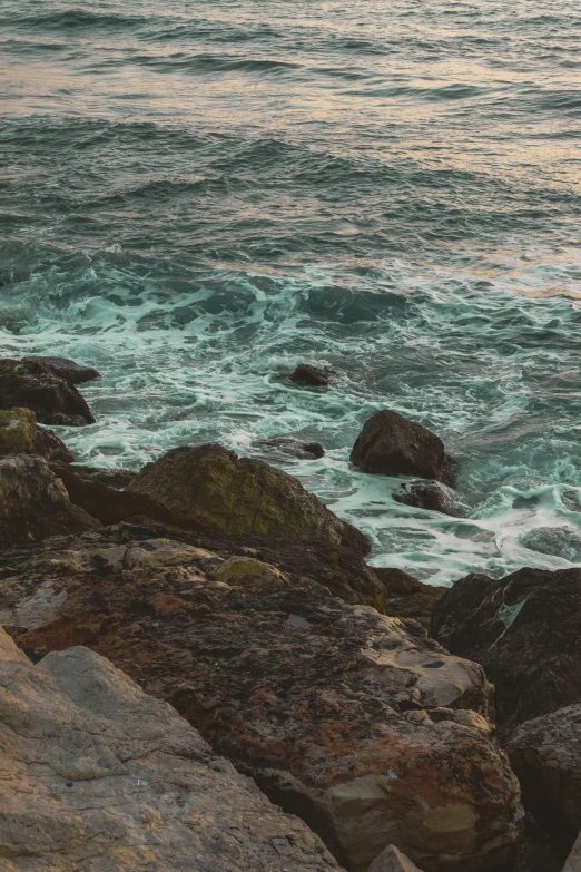 some rocks and water on the shoreline with a bird in flight