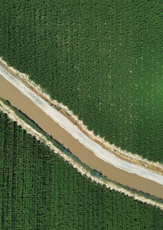 a road winding through a green field, with a stream below