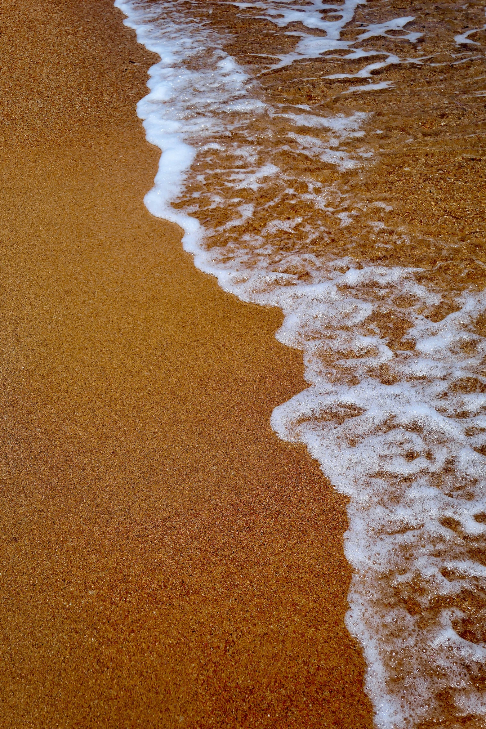 a couple of people walking into the surf at a beach