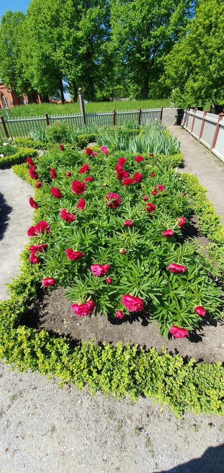 a very pretty flower garden by a stone wall