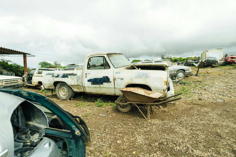 the old trucks are dirty but still covered in graffiti