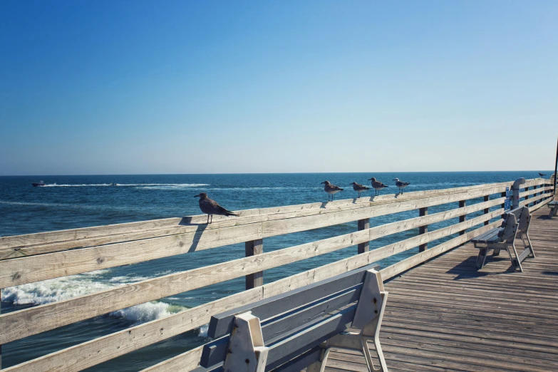 some birds are standing on the dock in front of the water