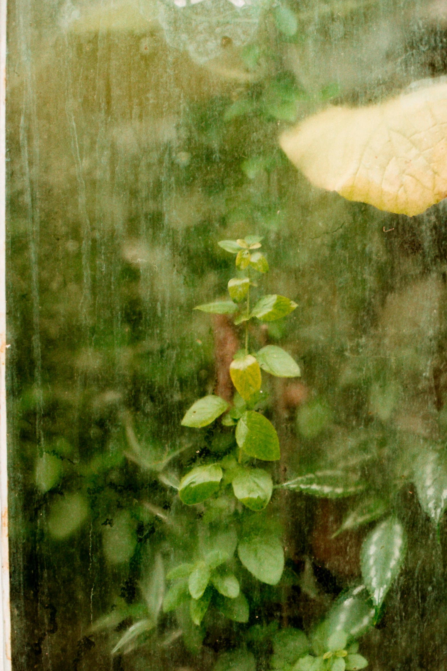 a yellow umbrella is seen through the window