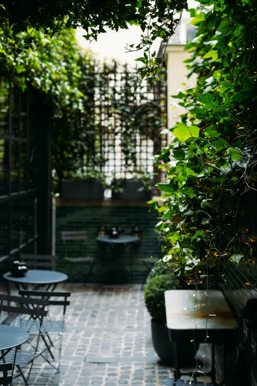 a restaurant courtyard is covered with green foliage