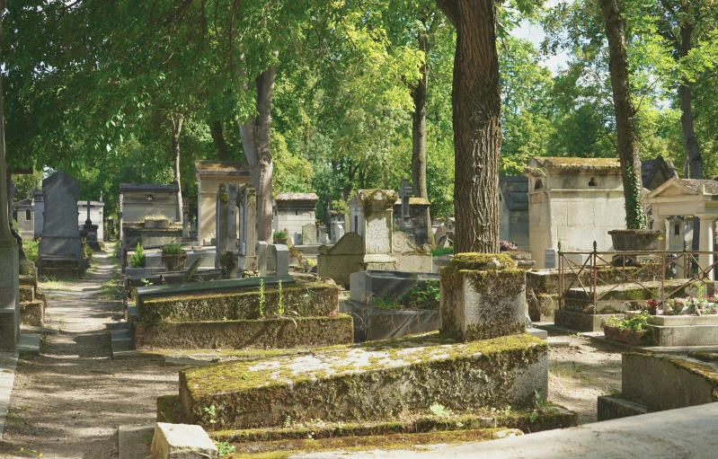 there are many large headstones surrounded by trees