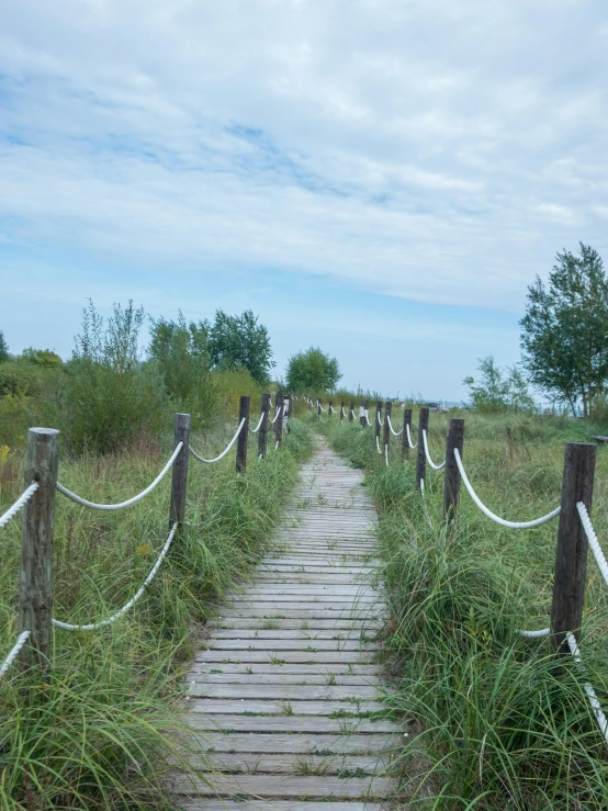 a wooden pathway leads through tall grasses to the beach