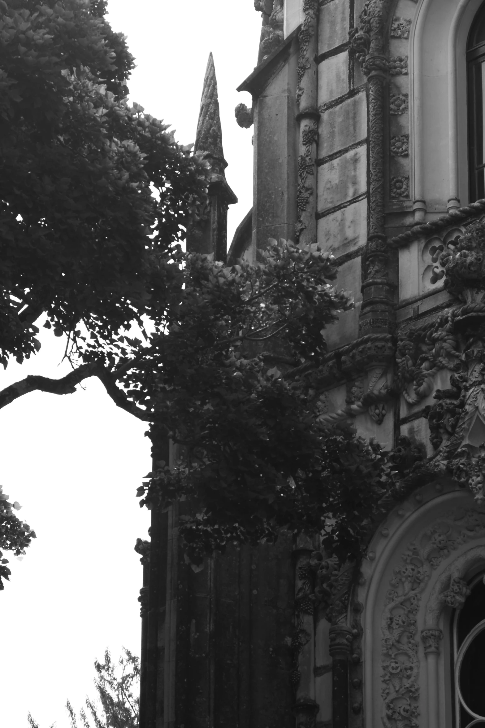 an old building with some trees and bushes outside