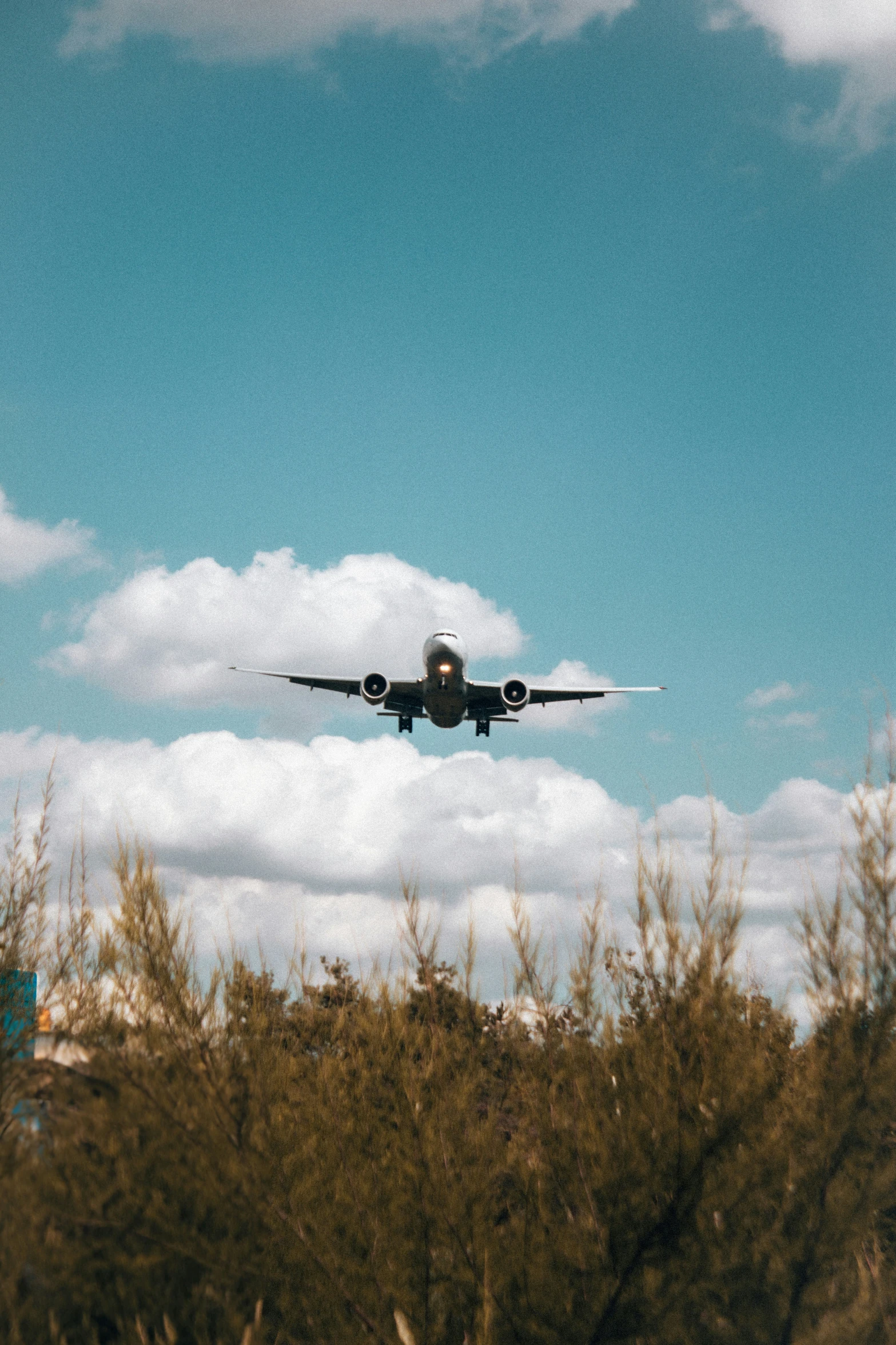 a jet is flying through the sky near a lot of trees