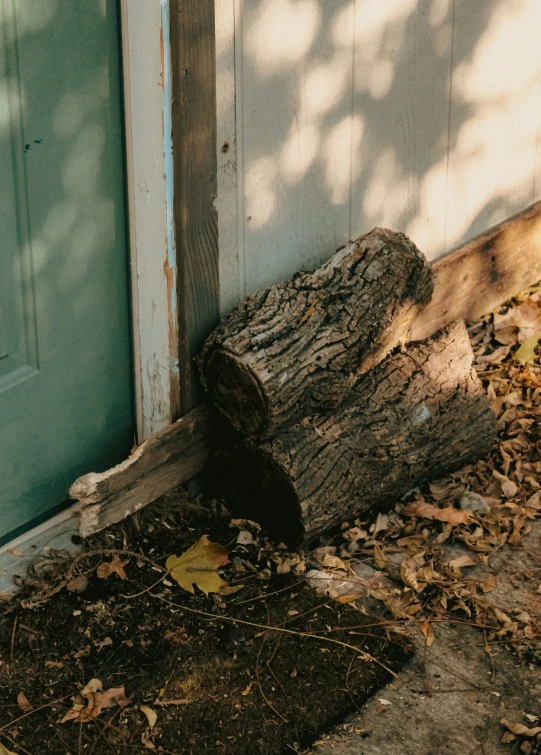 a log in the middle of a pile of leaves