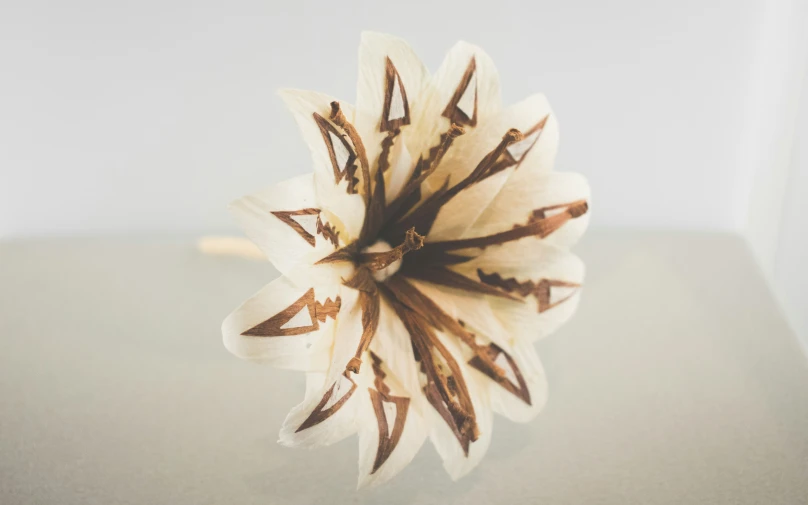 a white flower sitting on top of a table