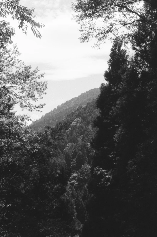 some trees water and hills under a cloudy sky