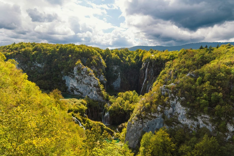 the trees are all green in the mountainous area