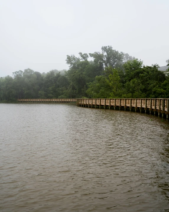 a river is lined with a row of wood dock posts