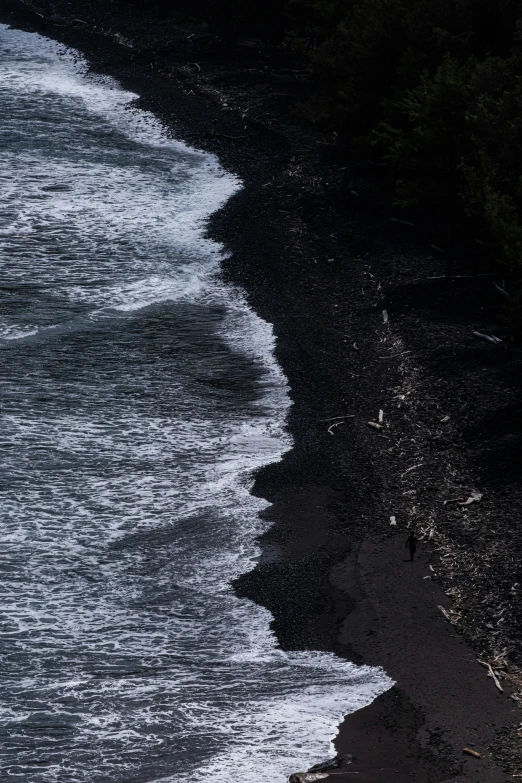 two birds standing on a small beach