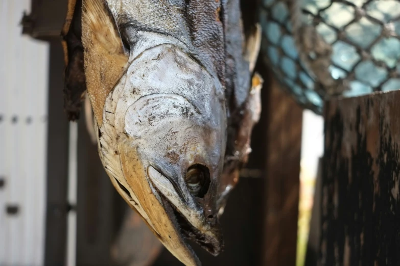 a fish is hanging from a hook with other items around it