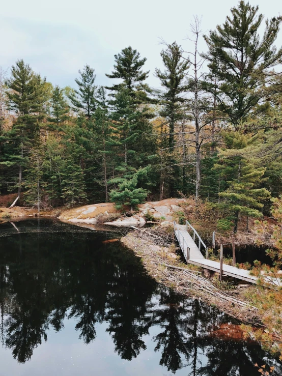 a lake in the woods with a boardwalk and steps leading out