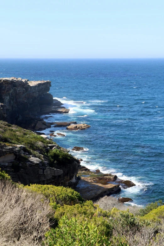 a herd of sheep grazing on a rocky cliff by the ocean