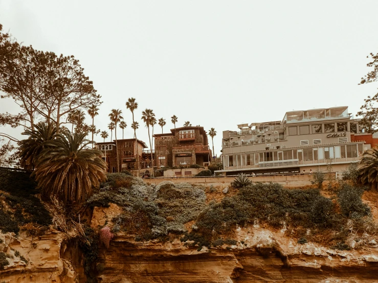 houses on a cliff side with palm trees in the foreground