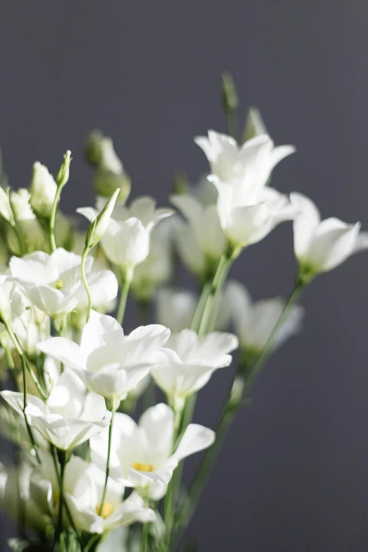 there is a vase with a small white flower arrangement