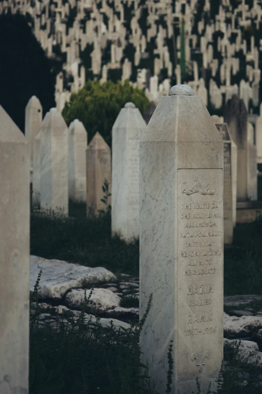 a bunch of headstones and headstones lined up with trees in the background