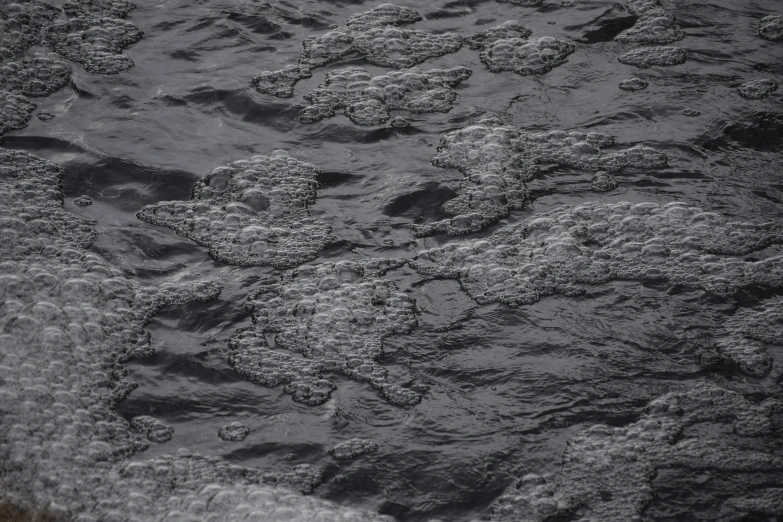 closeup of the rocks at the edge of a river