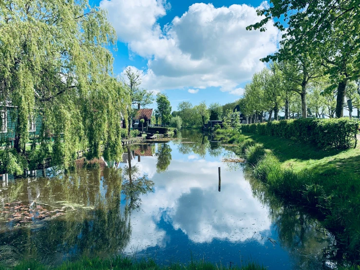 there are many trees and bushes lining the river