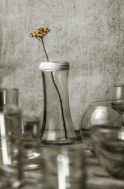 a clear glass vase and a dried flower inside it