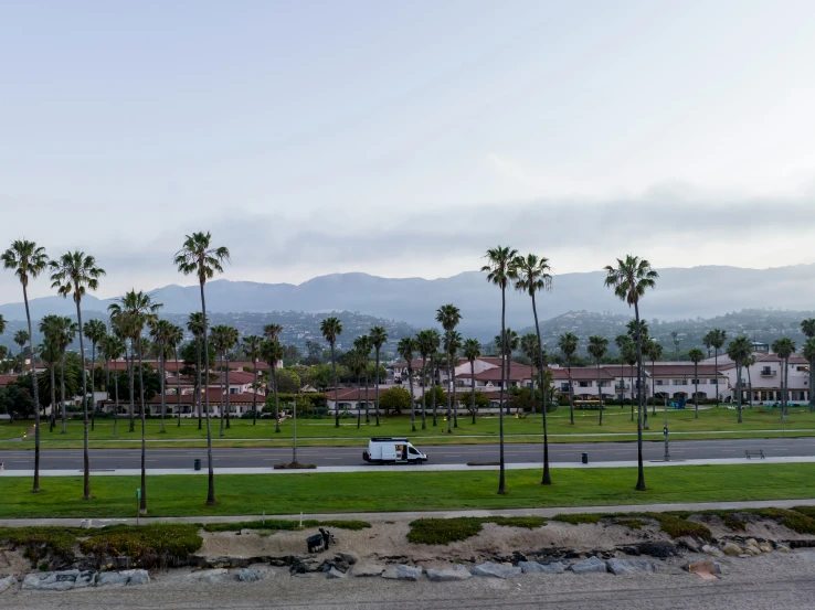 cars driving down the street through a lush green field