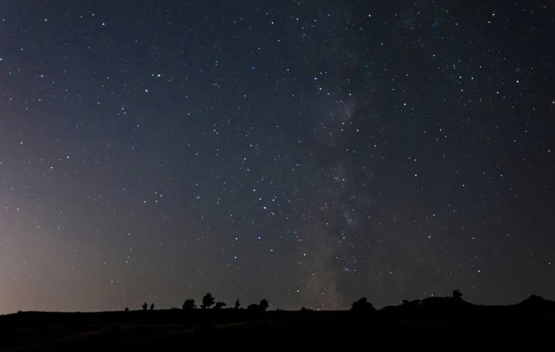 stars are shining above trees with people in the distance