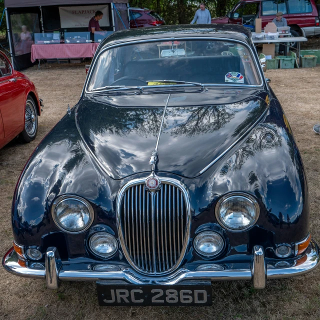 an old car is parked on the grass near a tree