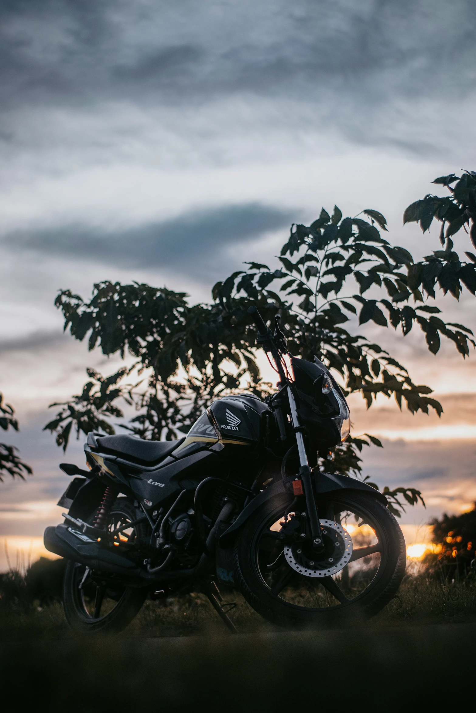 a motor cycle sitting under a tree at night