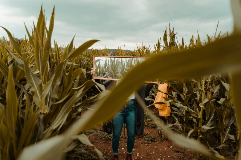 a person is holding a basket in the middle of a corn field