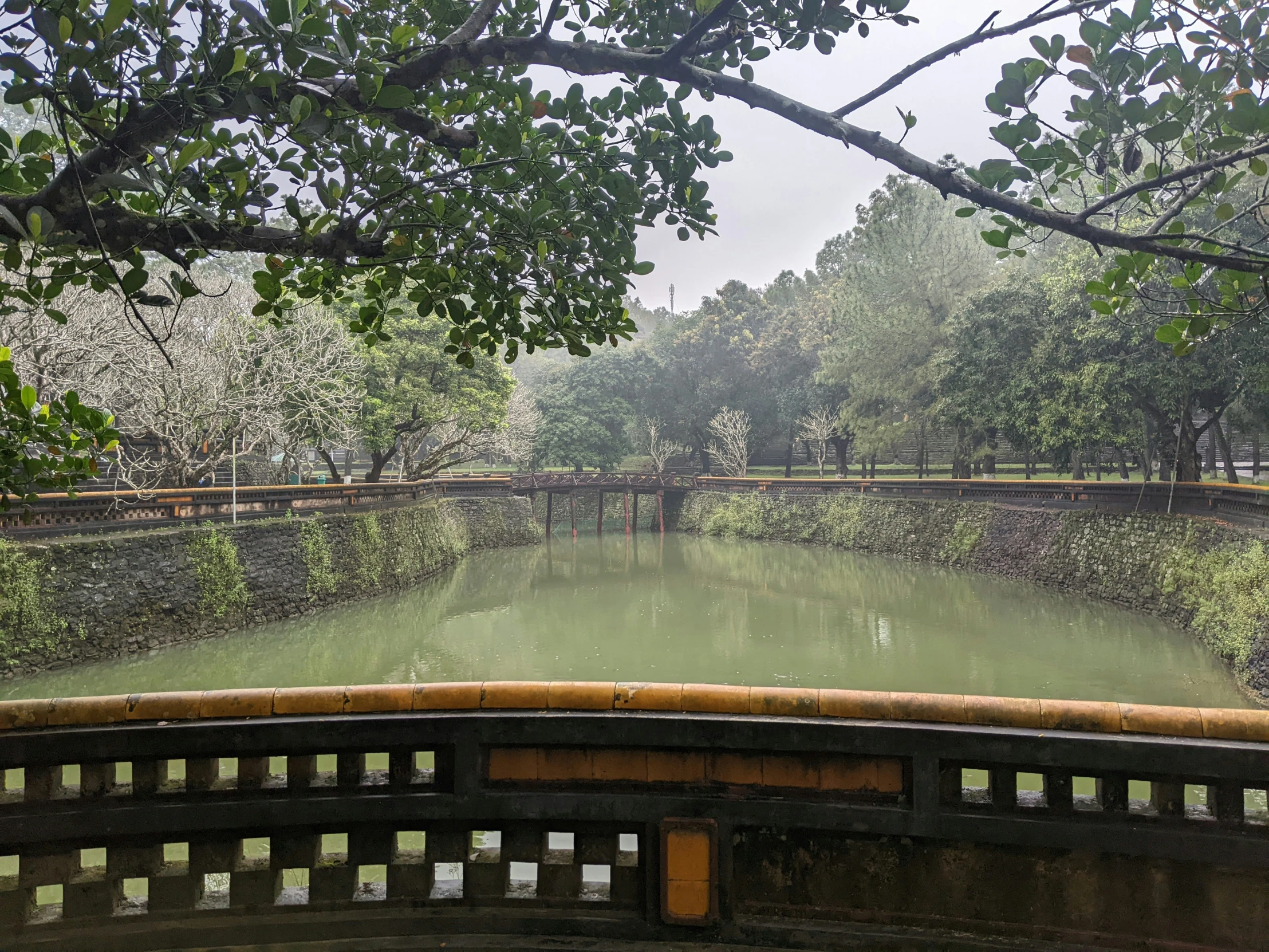 a body of water with trees around it