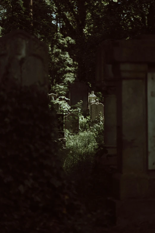 a cemetery with tombstones and trees all around it