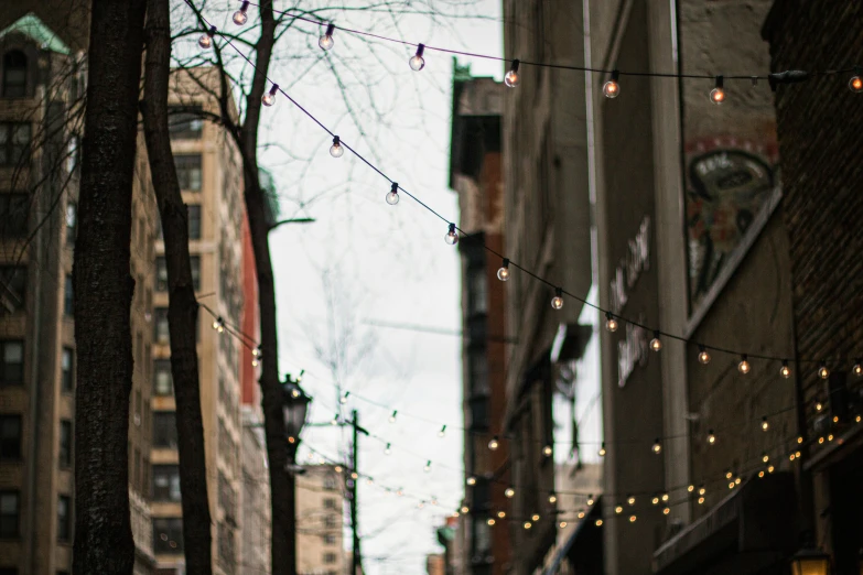 an image of an urban setting with lights and tree nches