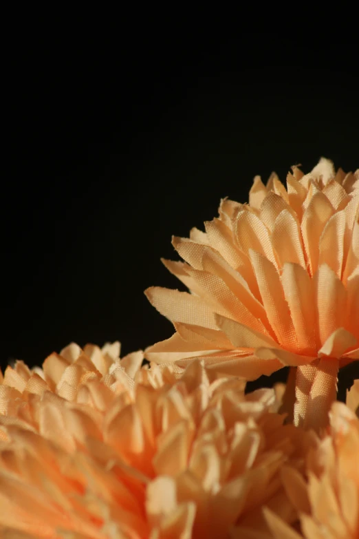 some flowers on a table in front of a black backdrop