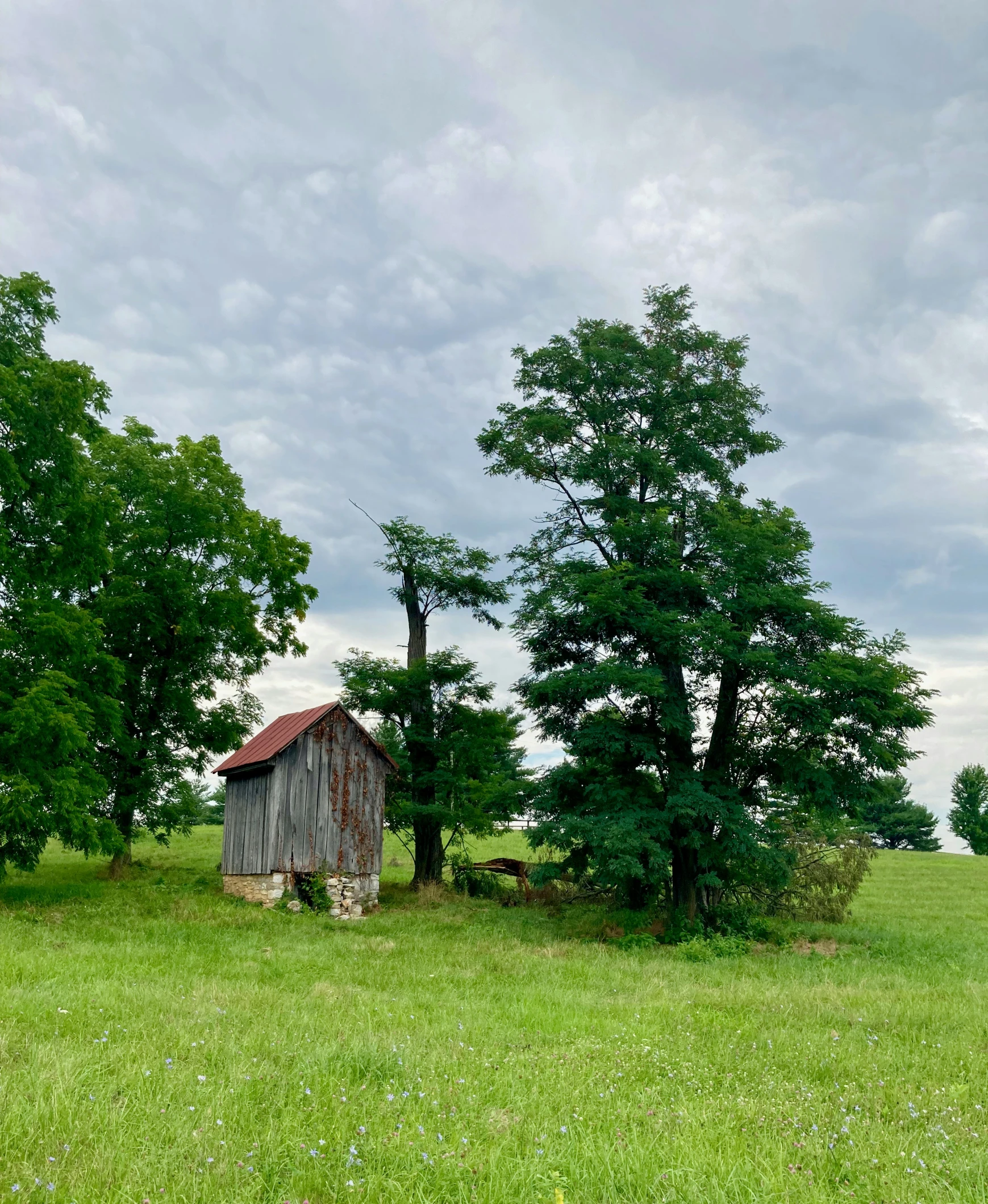 a old wooden barn in a grassy area