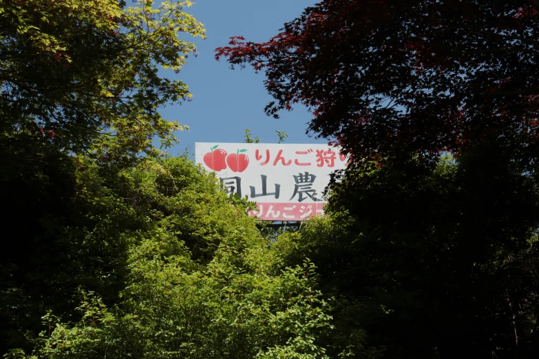 a big sign in the middle of some trees