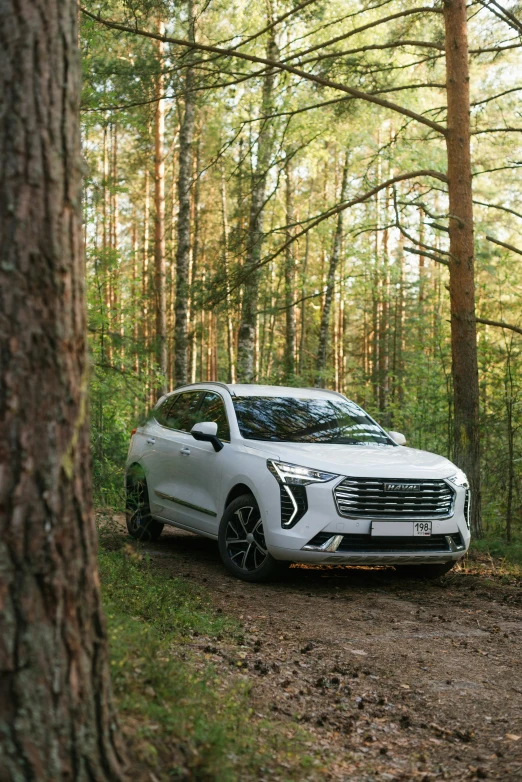 the volvo suv in a forest of trees